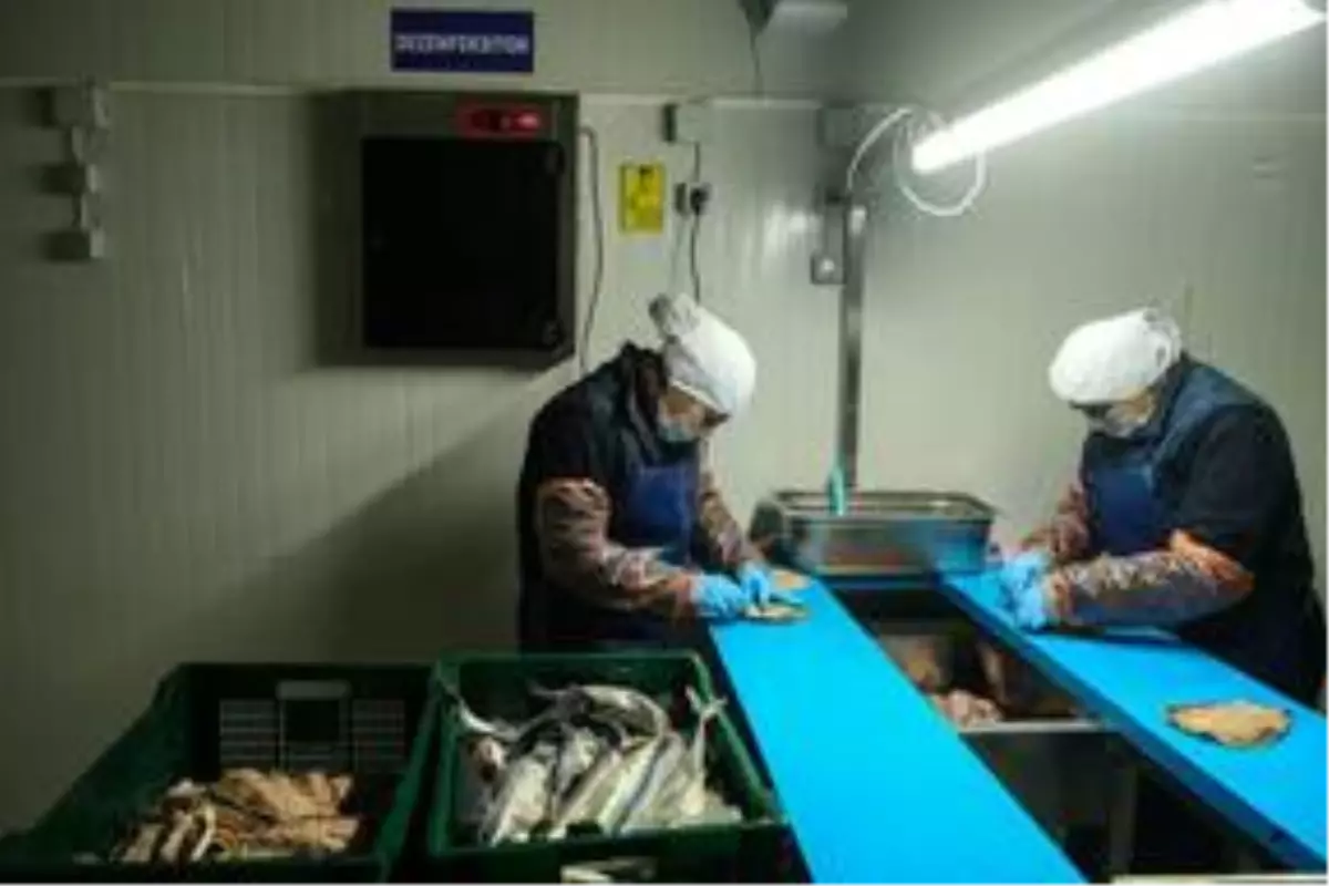 Avrupa'ya balık döner ihraç edilecek