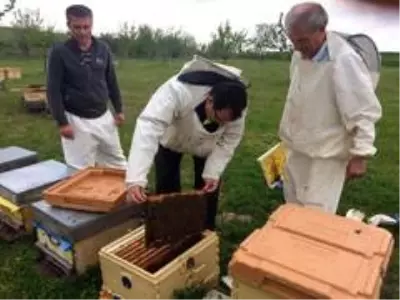 Büyükşehir'de arıcılık eğitim başladı