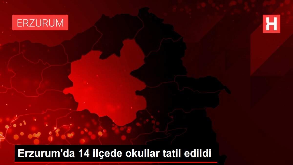 Erzurum'da 14 ilçede okullar tatil edildi