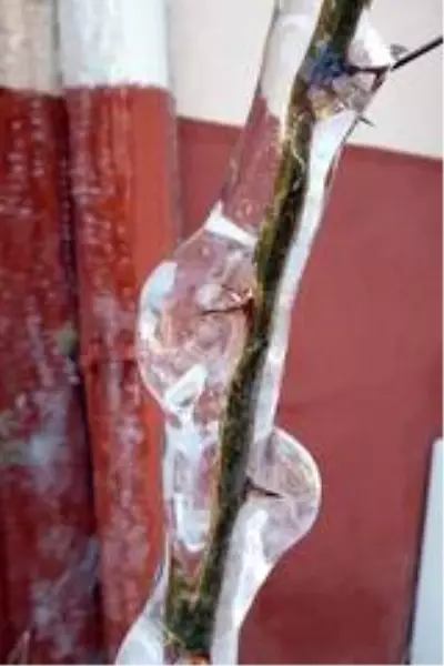 Gümüşhane yılın en soğuk gecesini yaşadı