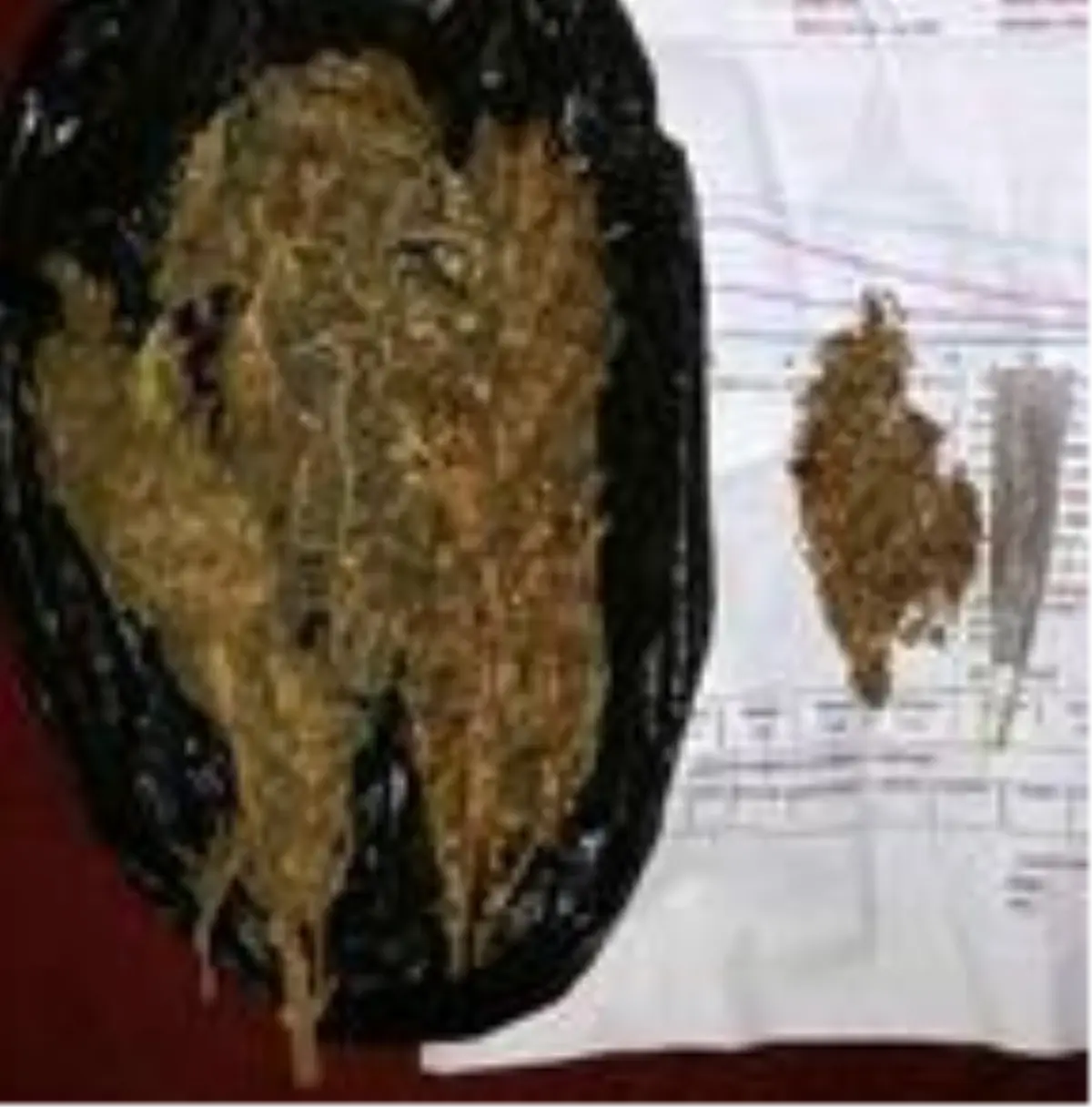 Kahramanmaraş'ta uyuşturucu operasyonu: 9 gözaltı