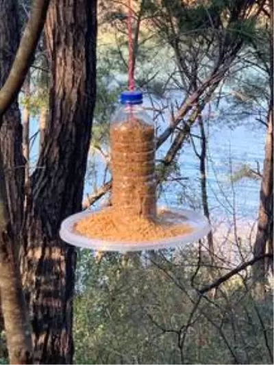 Osmaniye'de kuşlar için doğaya yem bırakıldı Osmaniye'de kuşlar için doğaya yem bırakıldı