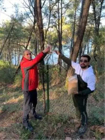 Osmaniye'de kuşlar için doğaya yem bırakıldı Osmaniye'de kuşlar için doğaya yem bırakıldı