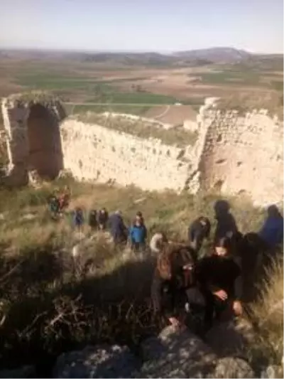 Osmaniye'de kuşlar için doğaya yem bırakıldı Osmaniye'de kuşlar için doğaya yem bırakıldı