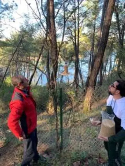 Osmaniye'de kuşlar için doğaya yem bırakıldı Osmaniye'de kuşlar için doğaya yem bırakıldı