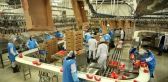 Beyaz et sektörü Çin pazarının açılmasını bekliyor