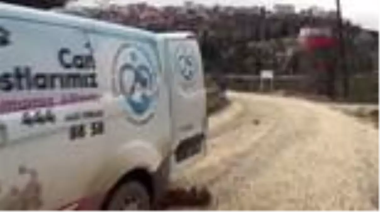 Bilecik'te yaralı çakal tedavi altına alındı