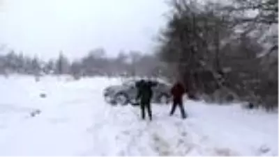 Bolu Dağı'na yılkı atları için yem bırakıldı Bolu Dağı'na yılkı atları için yem bırakıldı