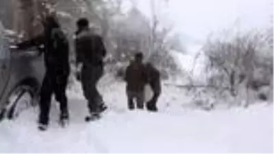 Bolu Dağı'na yılkı atları için yem bırakıldı Bolu Dağı'na yılkı atları için yem bırakıldı