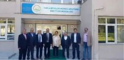 Çorum'da sertifikalı arpa tohumu üretilecek