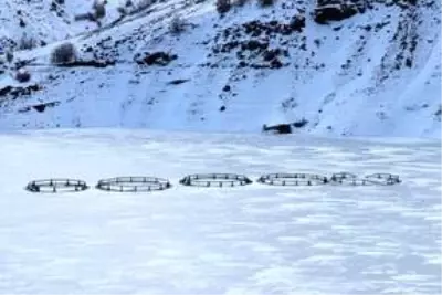 Erzincan'daki Göyne Sulama Barajı buzla kaplandı Erzincan'daki Göyne Sulama Barajı buzla kaplandı