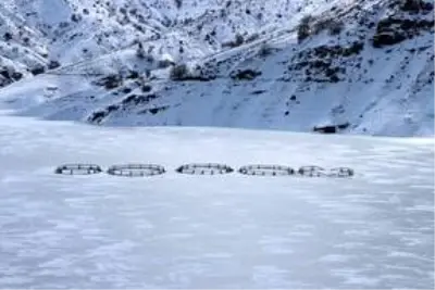 Erzincan'daki Göyne Sulama Barajı buzla kaplandı Erzincan'daki Göyne Sulama Barajı buzla kaplandı