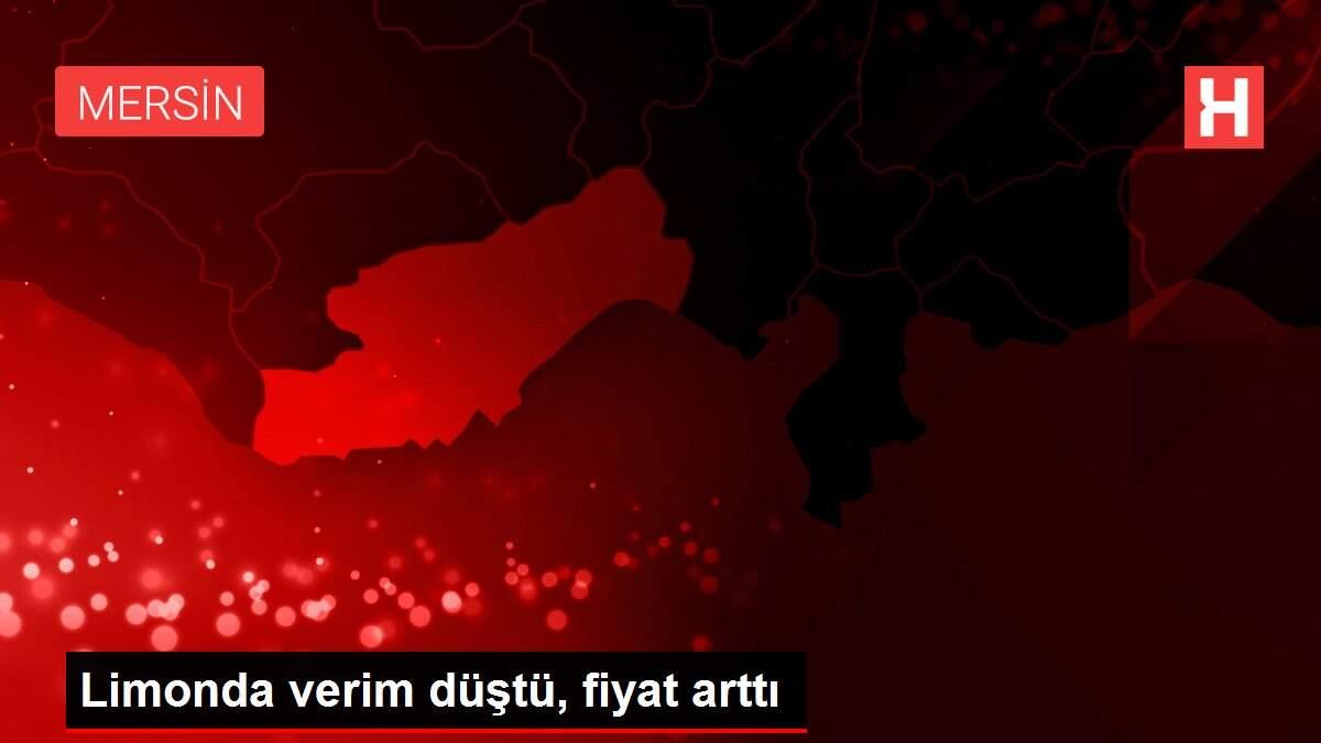 Limonda verim düştü, fiyat arttı