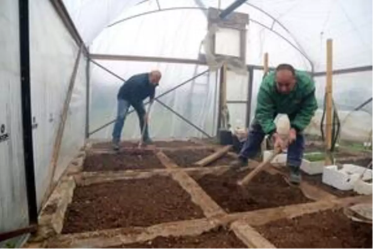 Serada yetiştirdiği ürünleri aşevine bağışlıyor