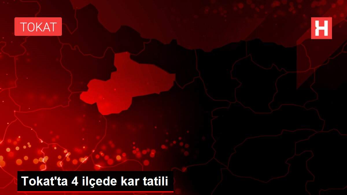 Tokat'ta 4 ilçede kar tatili