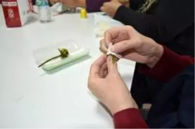Yunusemre ile iğne oyası öğreniyorlar Yunusemre ile iğne oyası öğreniyorlar