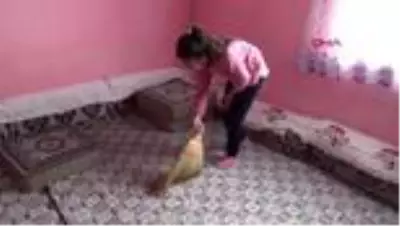 Ağrı semanur 'benim öğrencim' projesiyle okuluna kavuştu Ağrı semanur 'benim öğrencim' projesiyle okuluna kavuştu