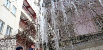 Siirt'te dondurucu soğuklar ilginç görüntüler oluşturdu