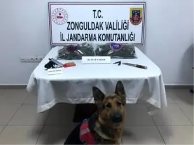 Zonguldak'ta jandarma devriyesinden kaçmaya çalışan şüpheli gözaltına alındı