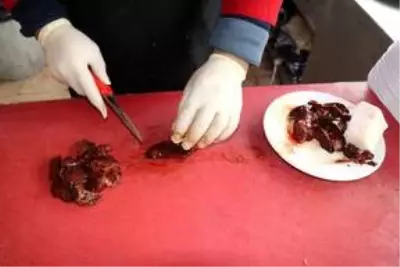 Adana'da yeni lezzet: Kaz etinden kebap