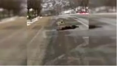 Ankara otomobilin çarpıp telef ettiği köpeğin başından ayrılmadılar