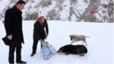 Hakkari'de sokak hayvanları için 300 kilo mama bırakıldı