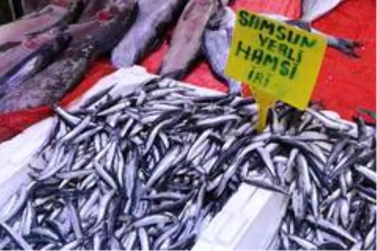 Hamsinin kulağına kar suyu kaçtı