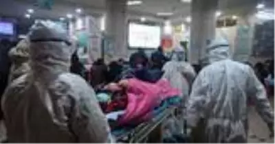 Koronavirüs ile ilgili dikkat çeken makale!