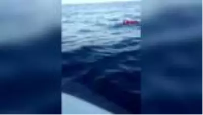 Muğla orkinos peşinde 8 saatlik mücadele