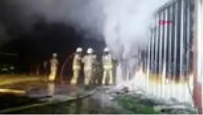 Silivri'de konteyner yandı, 4 yavru kedi kurtarıldı