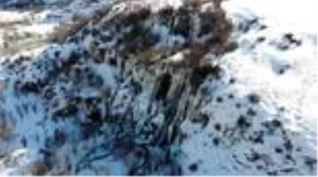 Tamamen donan Girlevik Şelalesi manzarasıyla büyülüyor