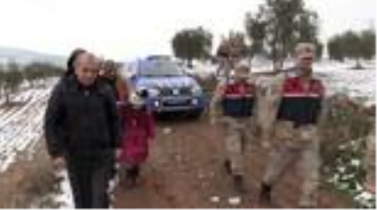 Yabani hayvanlar için doğaya yem bırakıldı