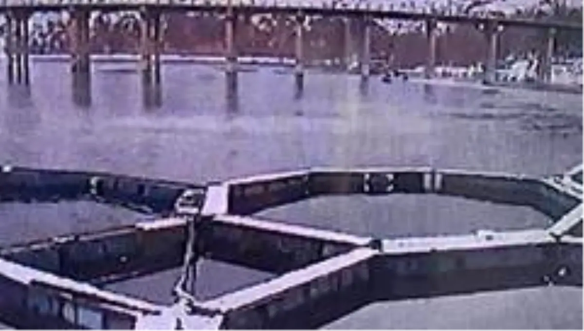 1 kişinin öldüğü tekne kazası kamerada