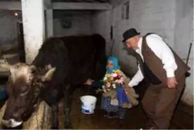 42 yıllık eşine ahırda Sevgililer Günü sürprizi 42 yıllık eşine ahırda Sevgililer Günü sürprizi