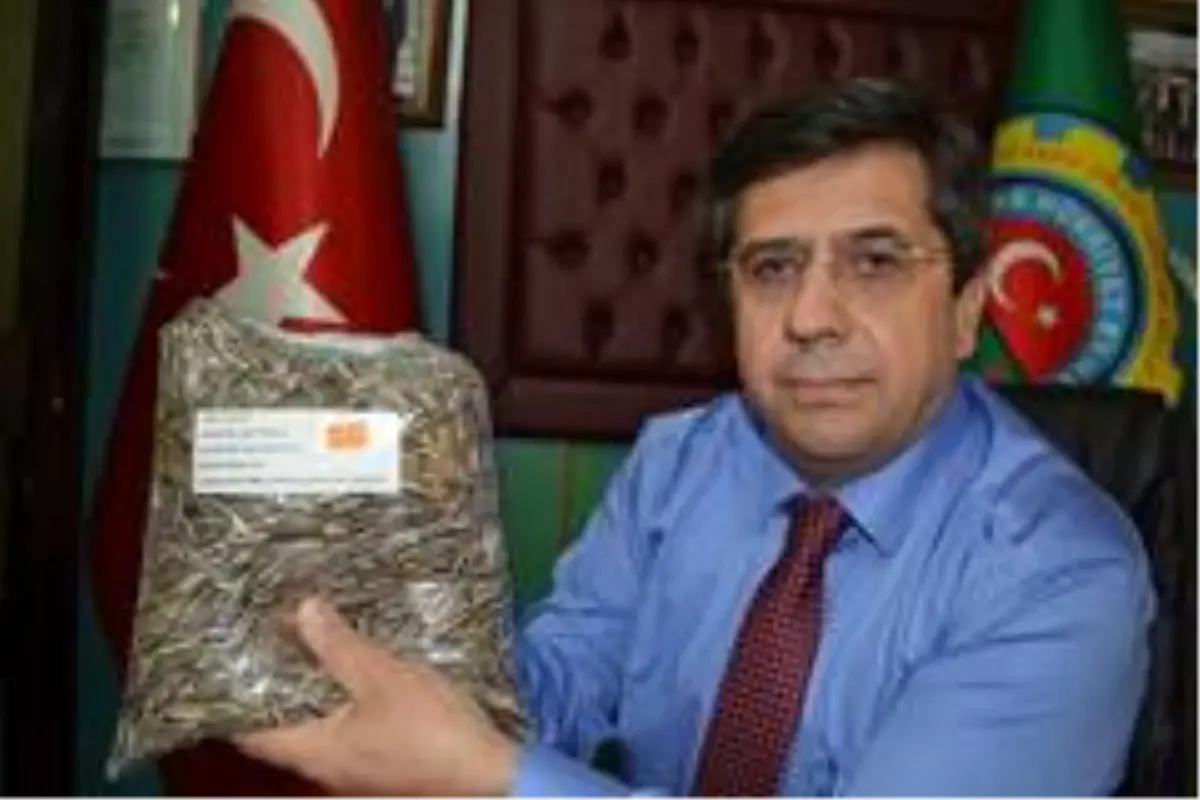 Ay çekirdeği üreticileri çıkan haberlerden dertli