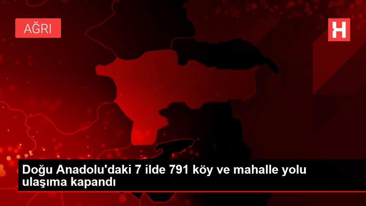 Doğu Anadolu'daki 7 ilde 791 köy ve mahalle yolu ulaşıma kapandı