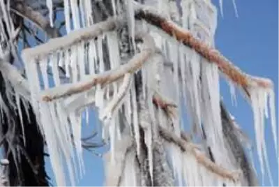 Erzincan buz kesti: Refahiye ilçesi eksi 20'yi gördü