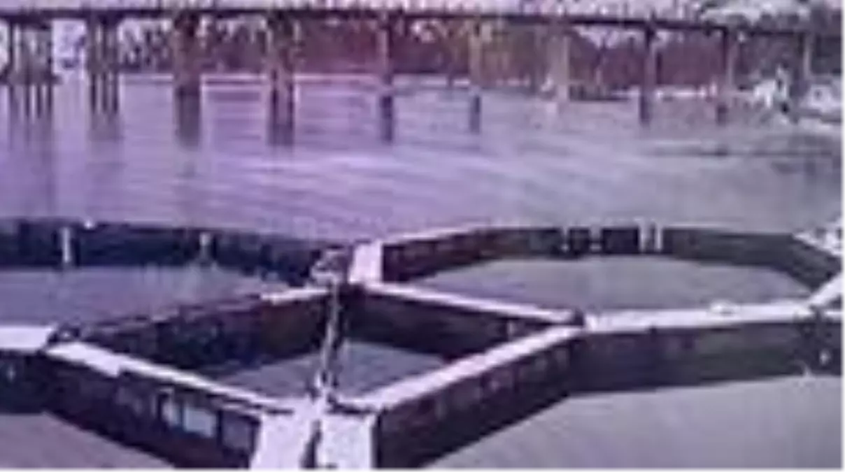 Fırat Nehri'nde bir kişinin öldüğü botun batma anı kameraya yansıdı