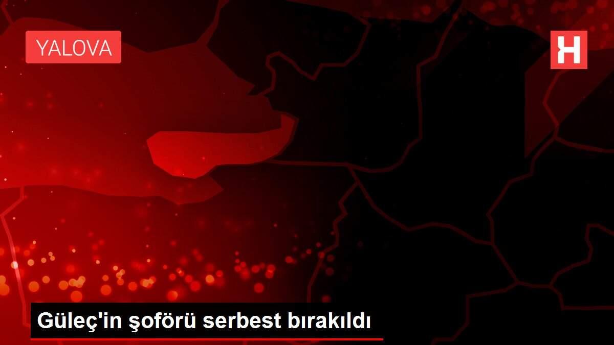 Güleç'in şoförü serbest bırakıldı