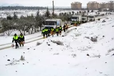 İslahiye Belediyesi yaban hayvanları için doğaya yem bıraktı
