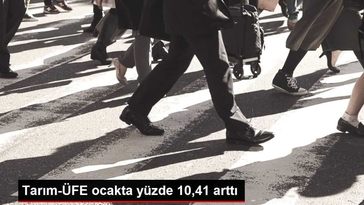 Tarım-ÜFE ocakta yüzde 10,41 arttı