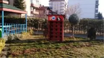 Yahşihan'da kedi sığınma evleri konuşlandırıldı