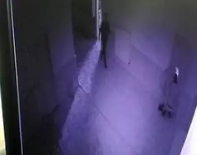 Yardım kumbarasını çalan çocuklar kamerada