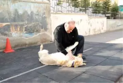 Altındağ Belediye Başkanı Balcı'dan