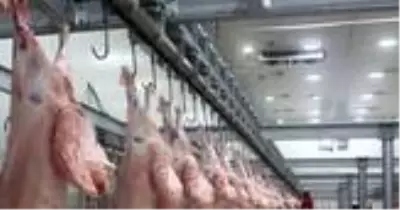 Bursa Yenişehir'de şarbon hastalığı tespit edilen mezbaha ve hayvan pazarı kapatıldı Bursa Yenişehir'de şarbon hastalığı tespit edilen mezbaha ve hayvan pazarı kapatıldı