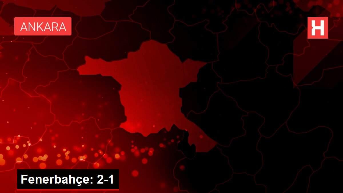 Fenerbahçe: 2-1