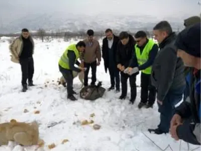 Kale'de hayvanlar için doğaya yiyecek bırakıldı