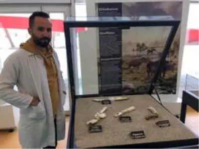 Kayseri'de 7 buçuk milyon yıllık 3 toynaklı at fosilleri bulundu