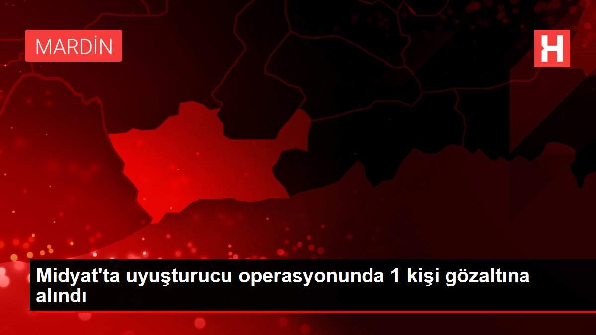 Midyat'ta uyuşturucu operasyonunda 1 kişi gözaltına alındı