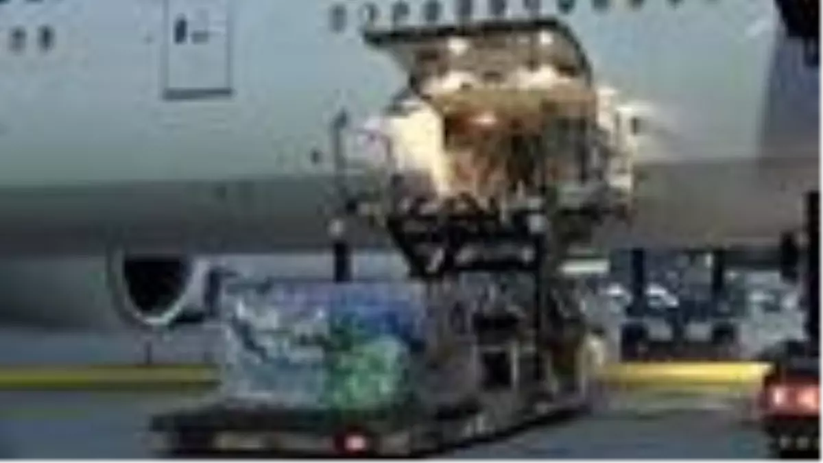 Yurt dışına kaçırılan iki tarihi eser Türkiye'ye getirildi (1)